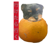 841257456