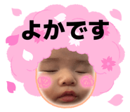 841257647