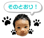 841257864