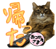 841257891