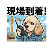 841258072