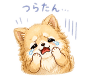 841258448