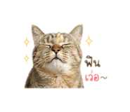 841258519
