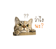 841258520