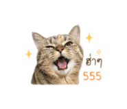 841258524