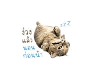 841258527