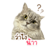 841258864