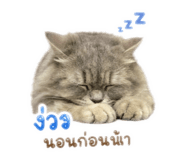 841258867