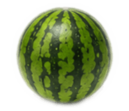 841258898
