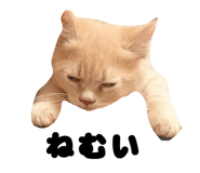 841260596