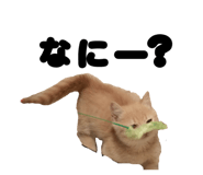 841260600