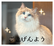 841260994