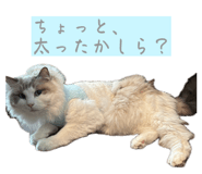 841261002