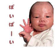 841261553