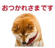 841261771
