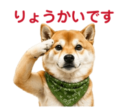 841261772
