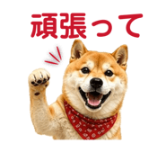 841261773