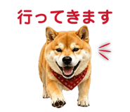 841261774