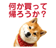841261780