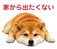 841261781
