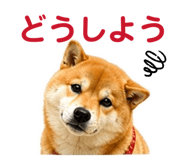 841261783