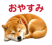 841261785