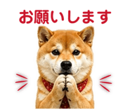 841261789