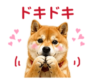 841261790