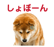 841261794