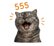 841262035