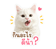 841262243