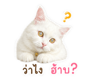 841262254