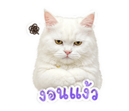 841262256