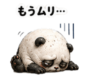 841262280