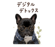 841262529