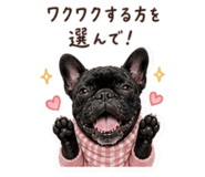 841262545