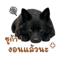 841262598
