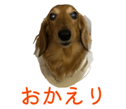 841263569