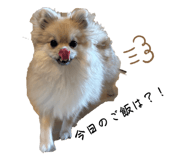 841263571