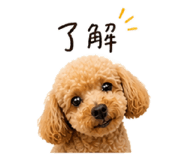 841263605