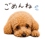 841263608