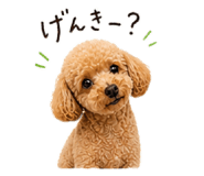 841263621