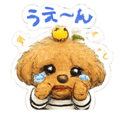 841264434