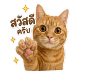841265009