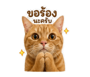 841265011
