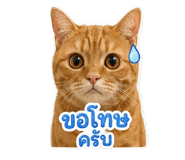 841265014