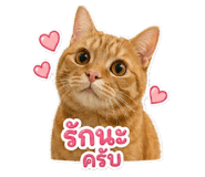 841265019
