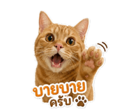 841265020