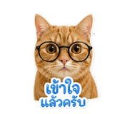 841265021