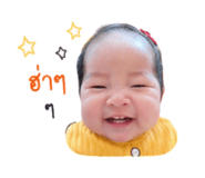 841265444